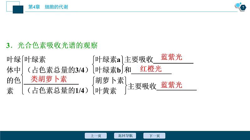 高中生物新北师大版必修1 光反应 课件(75张)08