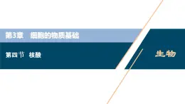 高中生物新北师大版必修1  核酸 课件（73张)