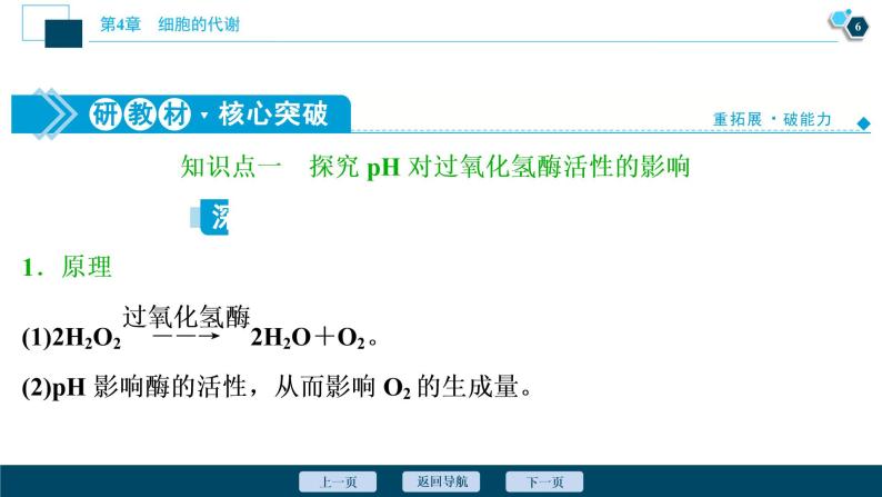 高中生物新北师大版必修1  环境因素对酶活性的影响 课件（78张)07