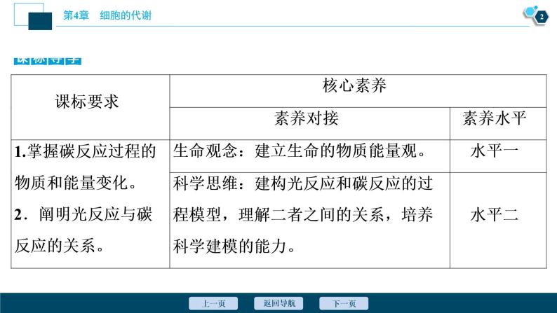 高中生物新北师大版必修1  碳反应 课件（65张)03