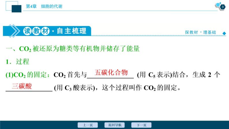 高中生物新北师大版必修1  碳反应 课件（65张)04