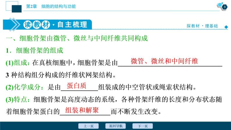 高中生物新北师大版必修1  细胞骨架与内膜系统 课件（63张)04