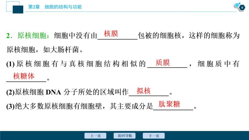 高中生物新北师大版必修1  细胞核 课件（81张)07