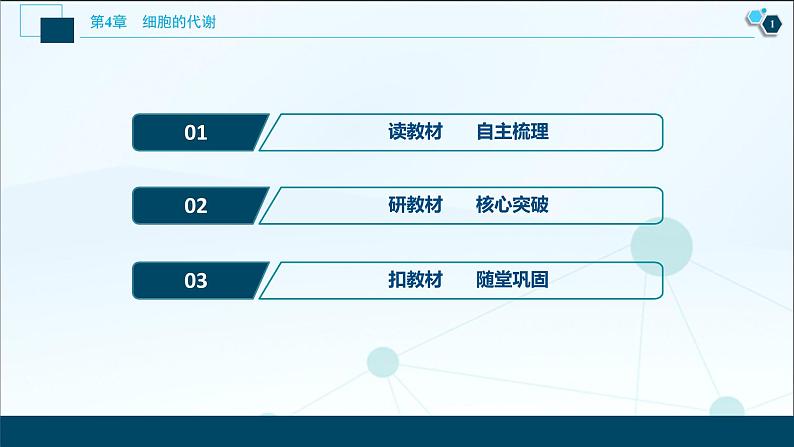 高中生物新北师大版必修1 细胞呼吸的过程 课件(77张)02