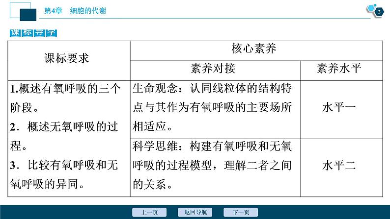 高中生物新北师大版必修1 细胞呼吸的过程 课件(77张)03