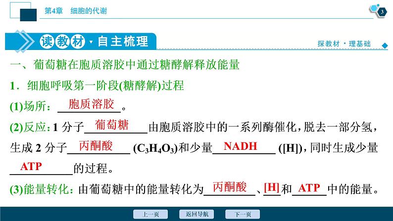 高中生物新北师大版必修1 细胞呼吸的过程 课件(77张)04