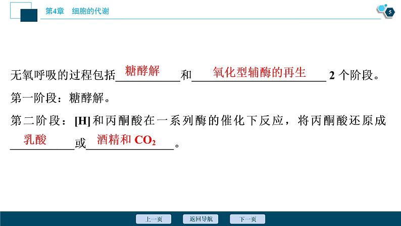 高中生物新北师大版必修1 细胞呼吸的过程 课件(77张)06