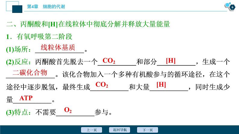 高中生物新北师大版必修1 细胞呼吸的过程 课件(77张)07