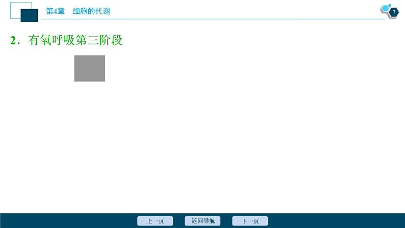 高中生物新北师大版必修1 细胞呼吸的过程 课件(77张)08