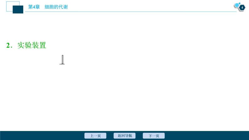 高中生物新北师大版必修1  细胞呼吸的类型 课件（75张)05