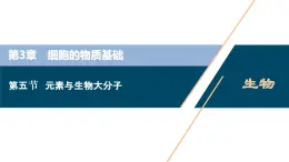 高中生物新北师大版必修1  元素与生物大分子 课件（65张)