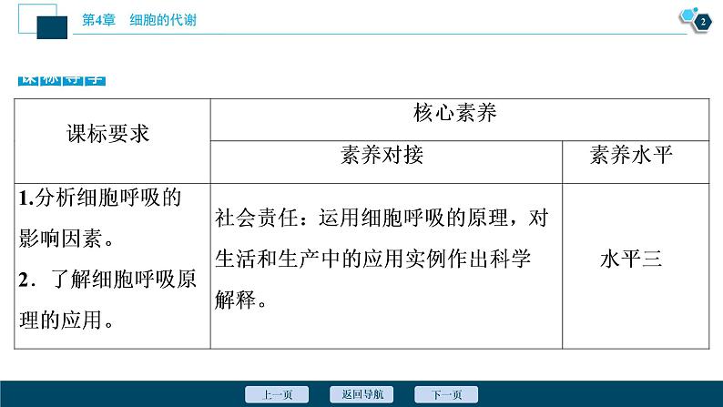高中生物新北师大版必修1 影响细胞呼吸速率的因素 课件(77张)第3页