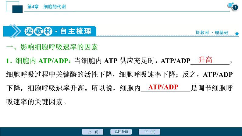 高中生物新北师大版必修1 影响细胞呼吸速率的因素 课件(77张)第4页
