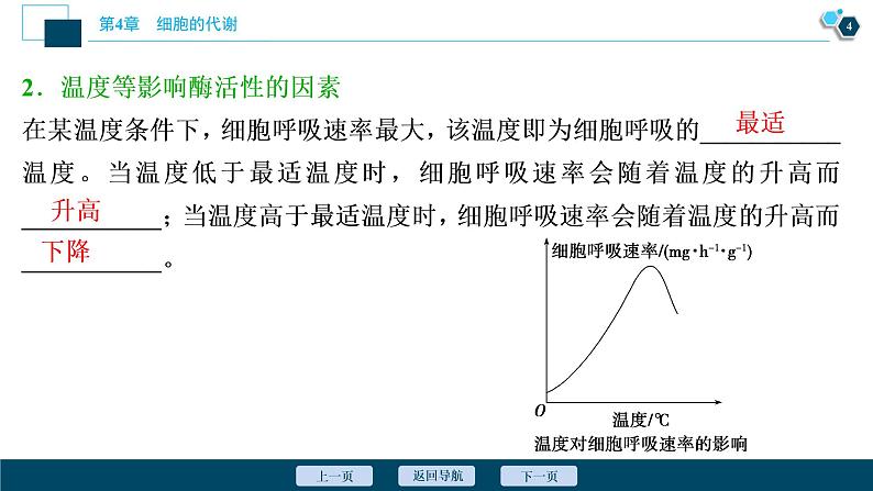 高中生物新北师大版必修1 影响细胞呼吸速率的因素 课件(77张)第5页