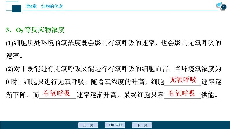 高中生物新北师大版必修1 影响细胞呼吸速率的因素 课件(77张)第6页