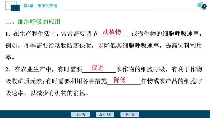高中生物新北师大版必修1 影响细胞呼吸速率的因素 课件(77张)第7页