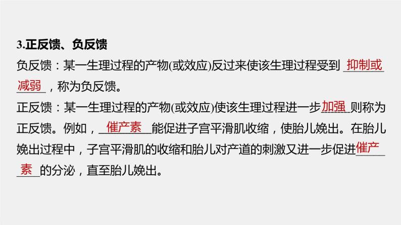 选择性必修1 激素分泌的分级调节与反馈调节（25张） 课件-高中生物新北师大版选择性必修107