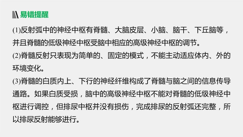 选择性必修1 脑和脊髓对反射活动的协同调节 （29张） 课件-高中生物新北师大版选择性必修107