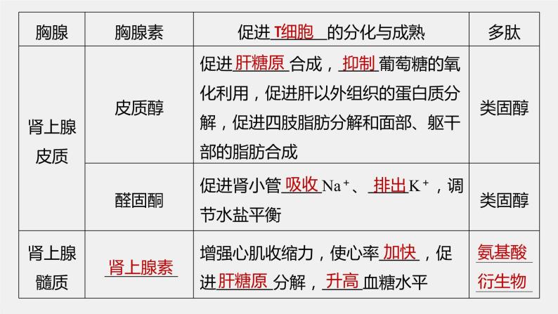 选择性必修1 内分泌系统与激素（36张） 课件-高中生物新北师大版选择性必修108