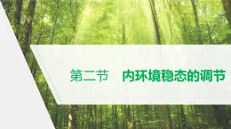 选择性必修1 内环境稳态的调节（31张） 课件-高中生物新北师大版选择性必修1