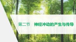 选择性必修1 神经冲动的产生与传导（32张） 课件-高中生物新北师大版选择性必修1