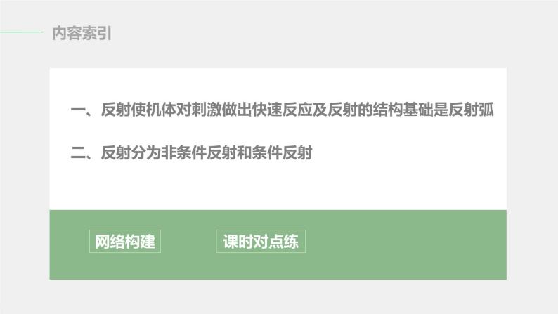 选择性必修1 神经调节的基本方式（29张） 课件-高中生物新北师大版选择性必修103