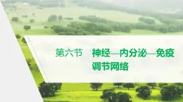 选择性必修1 神经—内分泌—免疫调节网络（20张） 课件-高中生物新北师大版选择性必修1