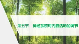 选择性必修1 神经系统对内脏活动的调节 （20张） 课件-高中生物新北师大版选择性必修1