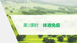 选择性必修1 体液免疫（28张） 课件-高中生物新北师大版选择性必修1