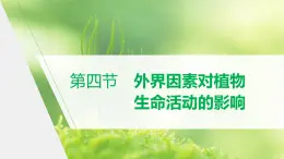 选择性必修1 外界因素对植物生命活动的影响（16张） 课件-高中生物新北师大版选择性必修1