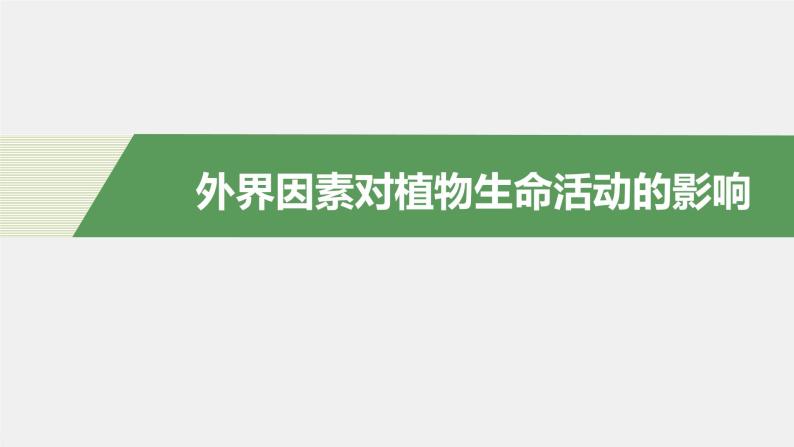 选择性必修1 外界因素对植物生命活动的影响（16张） 课件-高中生物新北师大版选择性必修104