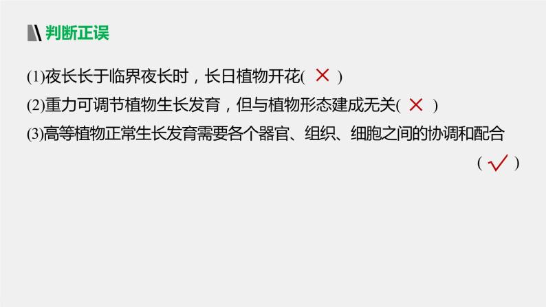 选择性必修1 外界因素对植物生命活动的影响（16张） 课件-高中生物新北师大版选择性必修108