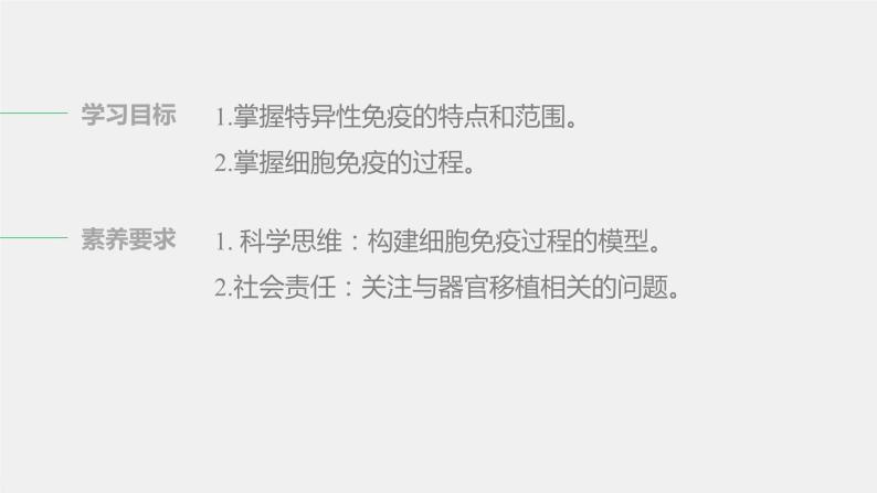 选择性必修1 细胞免疫（24张） 课件-高中生物新北师大版选择性必修102