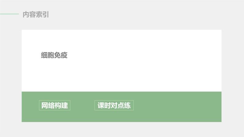 选择性必修1 细胞免疫（24张） 课件-高中生物新北师大版选择性必修103