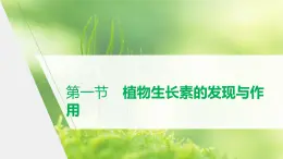 选择性必修1 植物生长素的发现与作用（49张） 课件-高中生物新北师大版选择性必修1