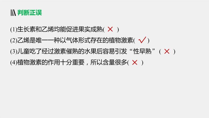 选择性必修1 主要植物激素的功能及其相互作用（33张） 课件-高中生物新北师大版选择性必修108