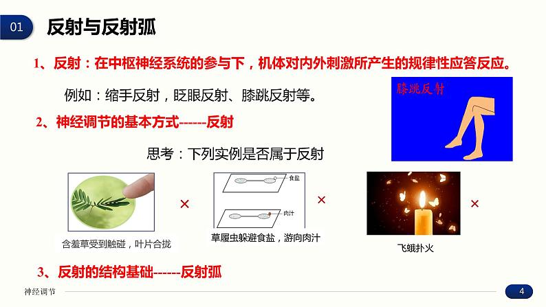 2.2 神经调节的基本方式 课件 高中生物新人教版 选择性必修1第4页
