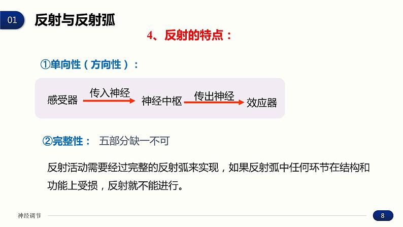 2.2 神经调节的基本方式 课件 高中生物新人教版 选择性必修1第8页