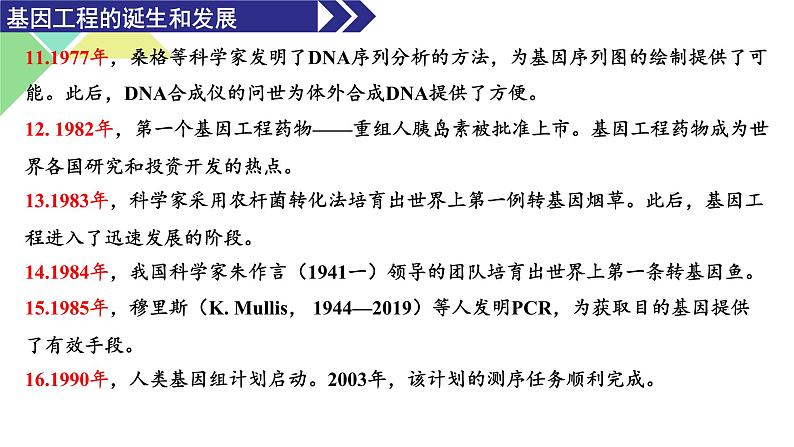 3.1 重组DNA技术的基本工具 课件 高中生物新人教版选择性必修305