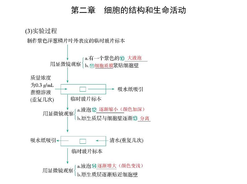 第二章 第三节 物质进出细胞的运输方式 课件(37张)-高中生物新苏教版(2019)必修1第5页