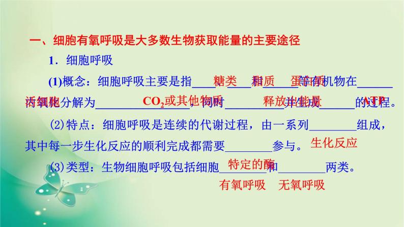 高中生物新苏教版必修第一册  3.3 细胞呼吸——能量的转化和利用 课件（59张）06