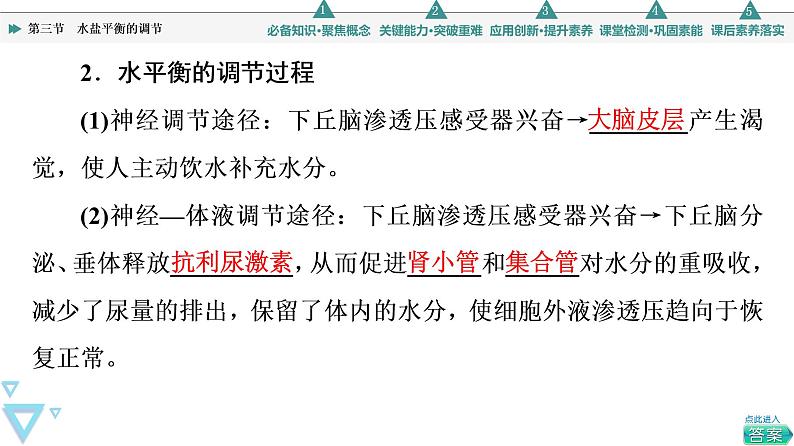选择性必修1 水盐平衡的调节(46张) 课件-高中生物新苏教版(2019)选择性必修105