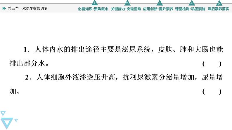 选择性必修1 水盐平衡的调节(46张) 课件-高中生物新苏教版(2019)选择性必修108