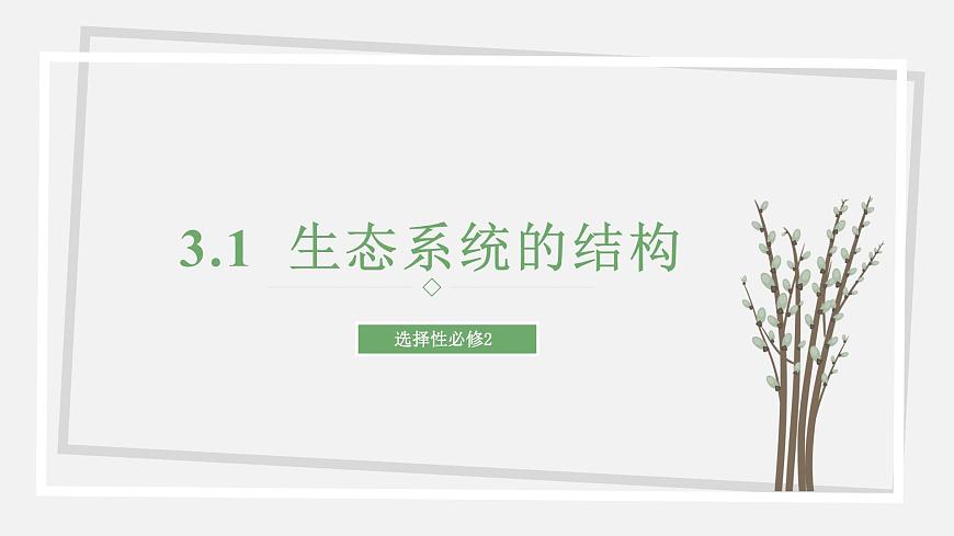 3.1  生態(tài)系統(tǒng)的結(jié)構(gòu) 課件 高中生物新蘇教版選擇性必修2第1頁