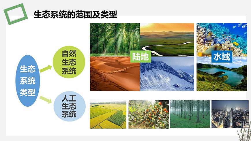 3.1  生態(tài)系統(tǒng)的結(jié)構(gòu) 課件 高中生物新蘇教版選擇性必修2第4頁