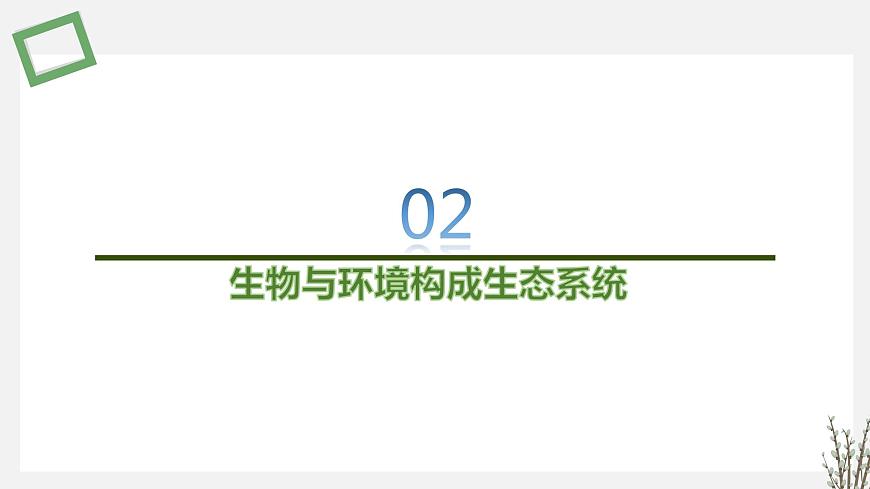3.1  生態(tài)系統(tǒng)的結(jié)構(gòu) 課件 高中生物新蘇教版選擇性必修2第6頁