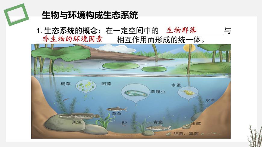 3.1  生態(tài)系統(tǒng)的結(jié)構(gòu) 課件 高中生物新蘇教版選擇性必修2第7頁