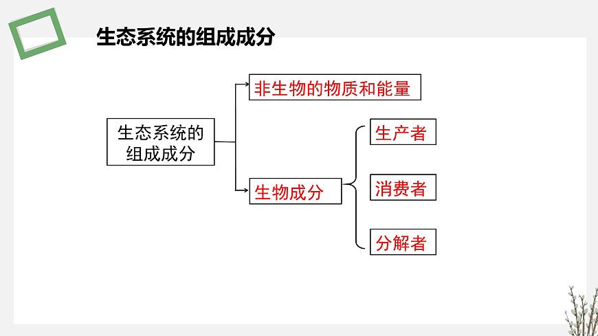 3.1  生態(tài)系統(tǒng)的結(jié)構(gòu) 課件 高中生物新蘇教版選擇性必修2第8頁