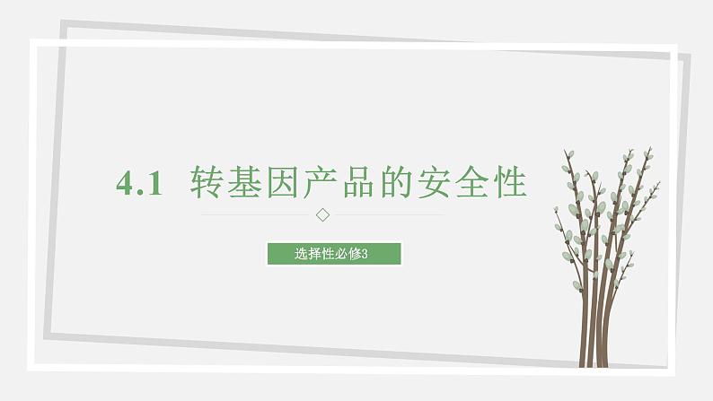 4.1 转基因产品的安全性 课件 高中生物新苏教版选择性必修第1页