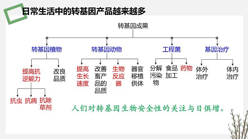 4.1 转基因产品的安全性 课件 高中生物新苏教版选择性必修第5页